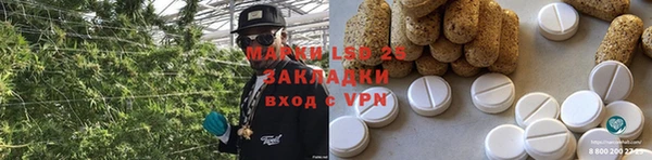 PSILOCYBIN Зуевка