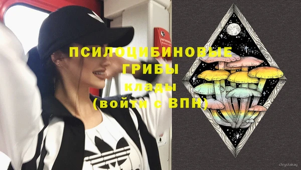 дживик Гусев