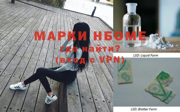 PSILOCYBIN Зуевка
