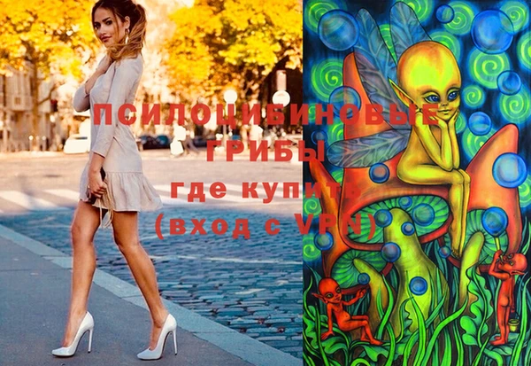 PSILOCYBIN Зуевка